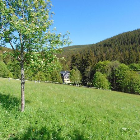 Penzion Medvedin Dolni Misecky Buitenkant foto
