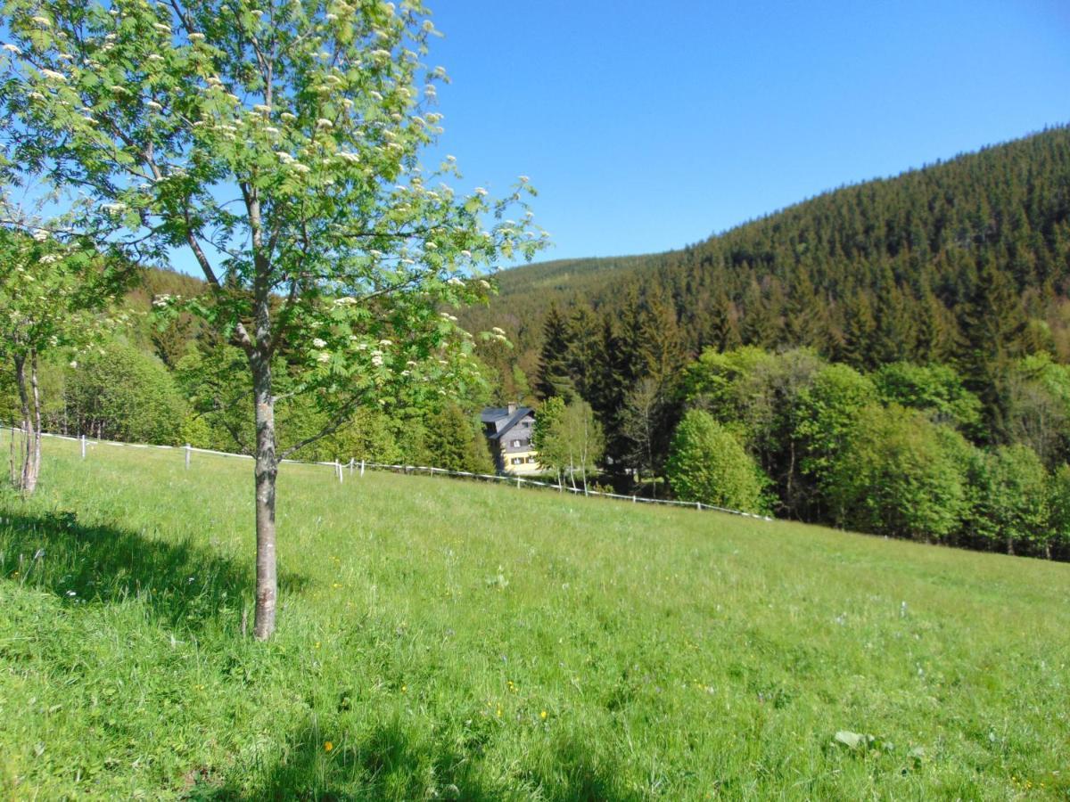 Penzion Medvedin Dolni Misecky Buitenkant foto