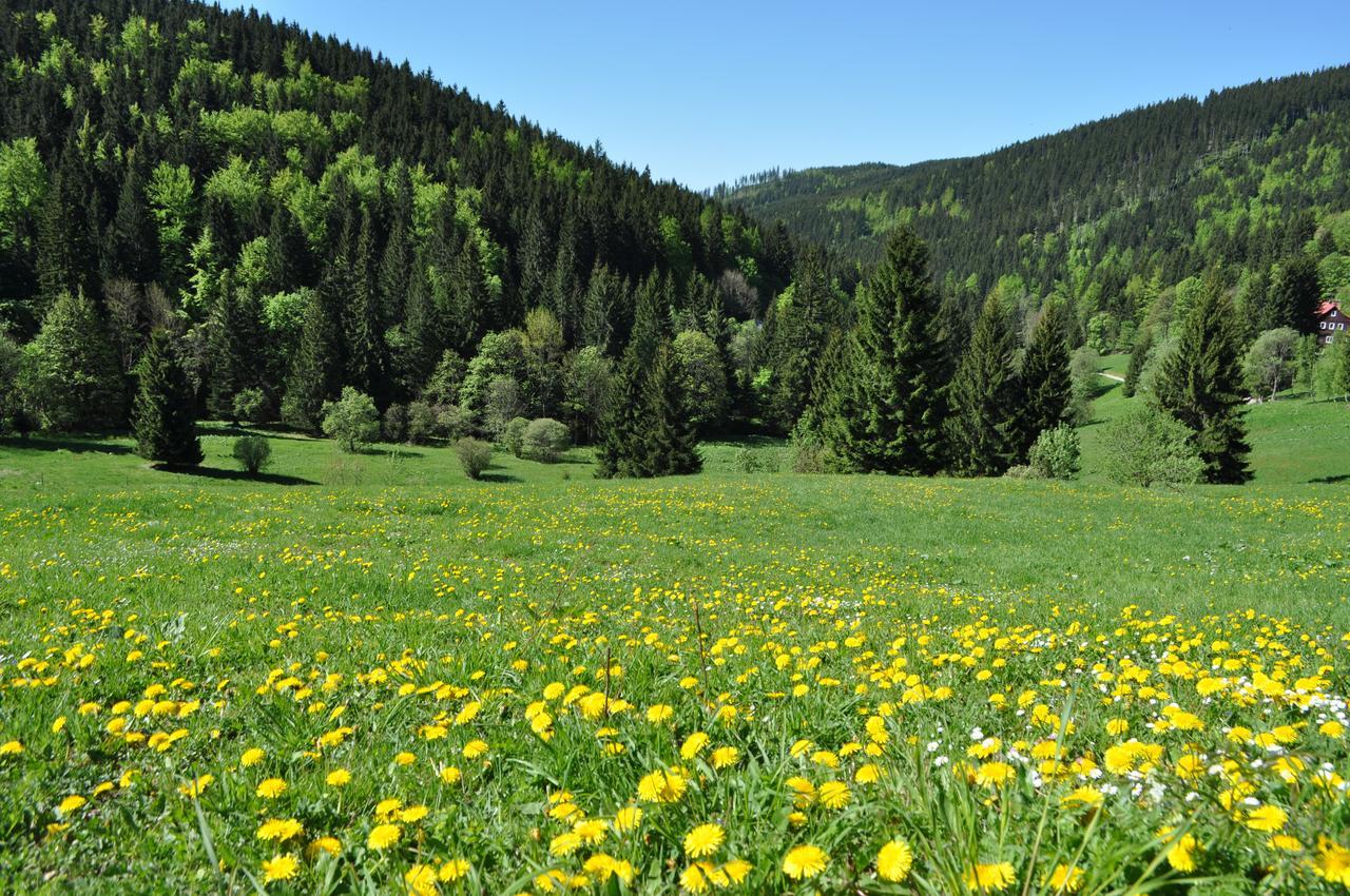 Penzion Medvedin Dolni Misecky Buitenkant foto