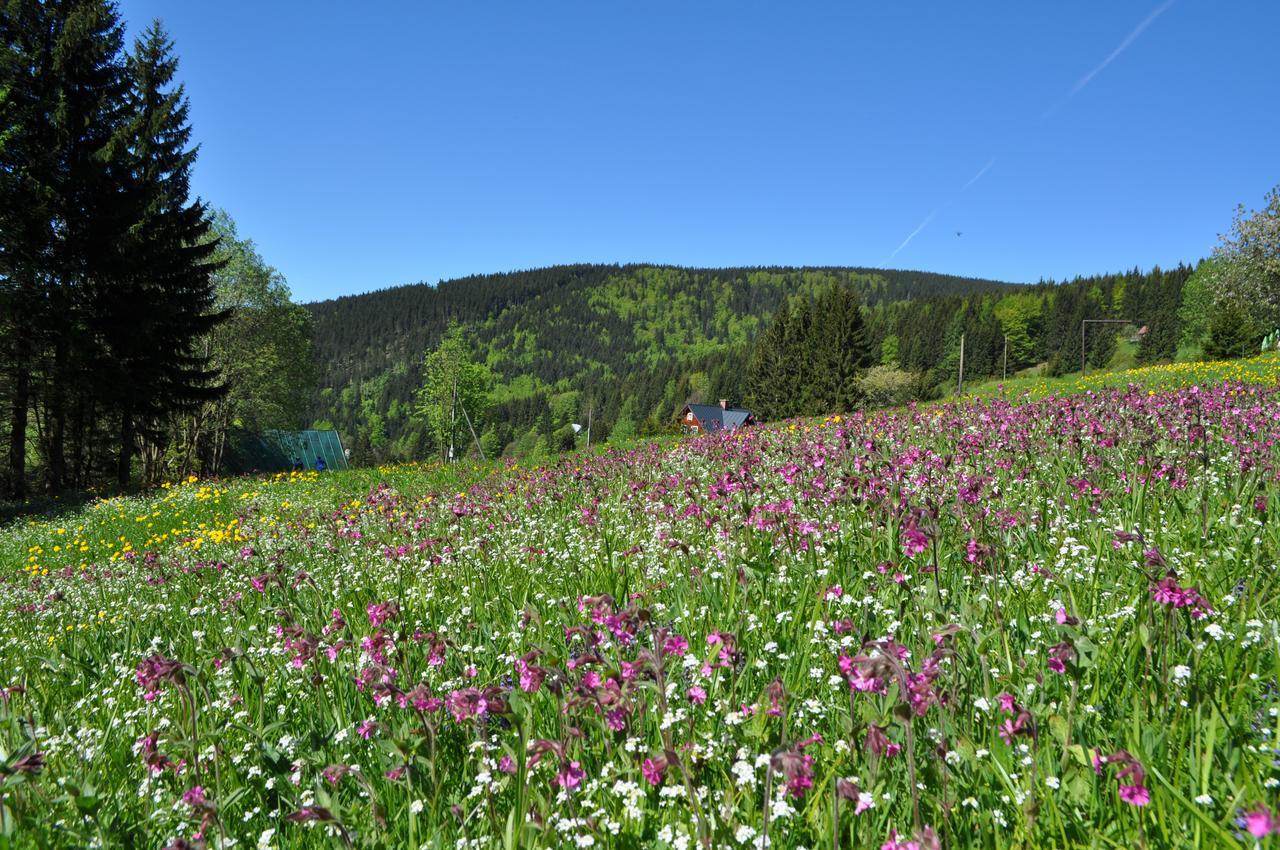 Penzion Medvedin Dolni Misecky Buitenkant foto