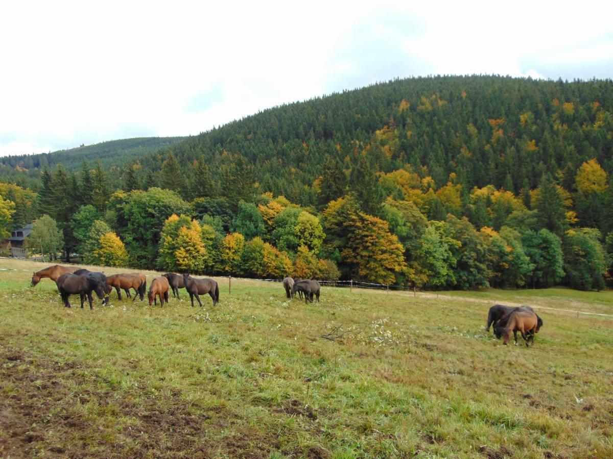 Penzion Medvedin Dolni Misecky Buitenkant foto
